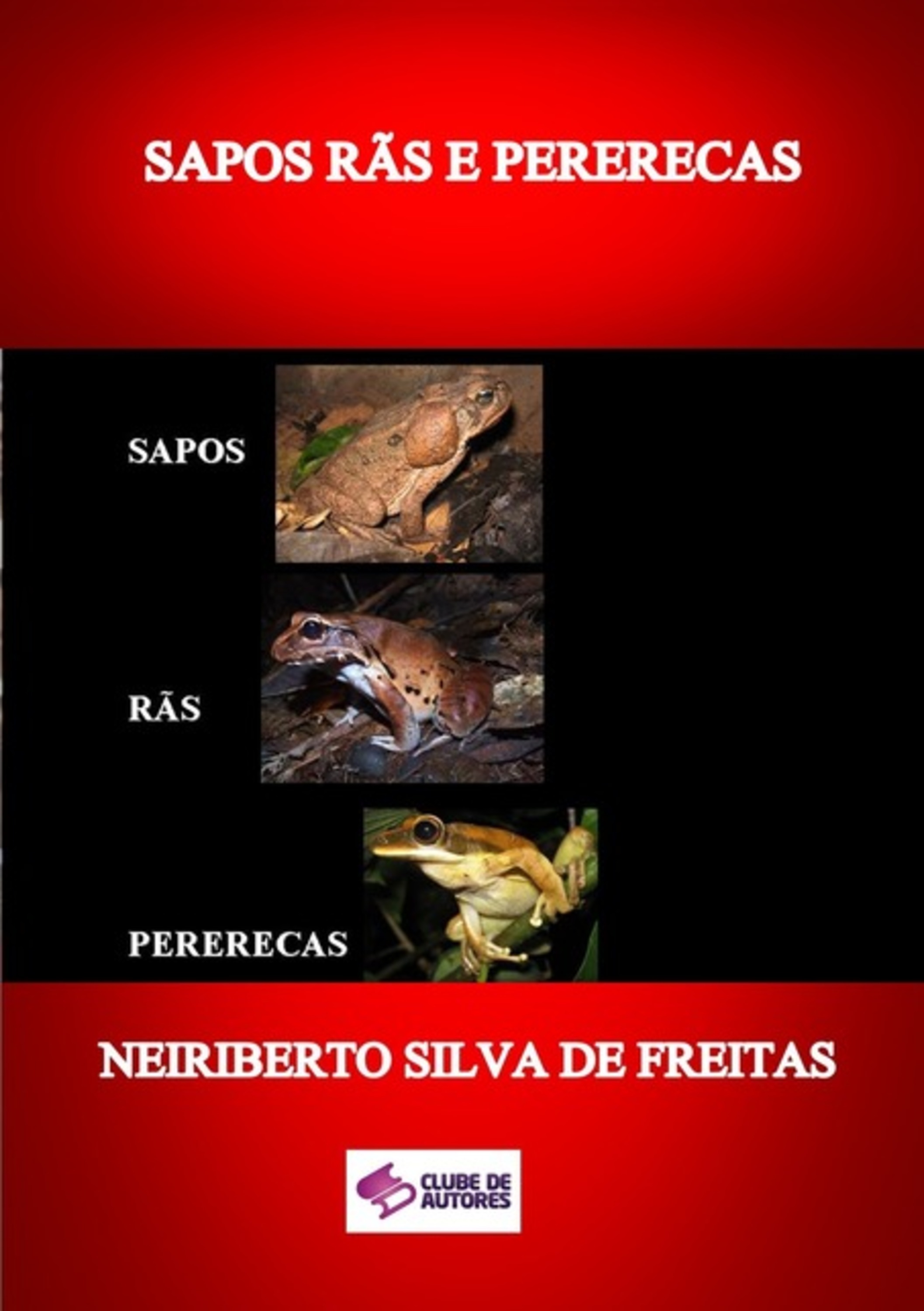 Sapos Rãs E Pererecas