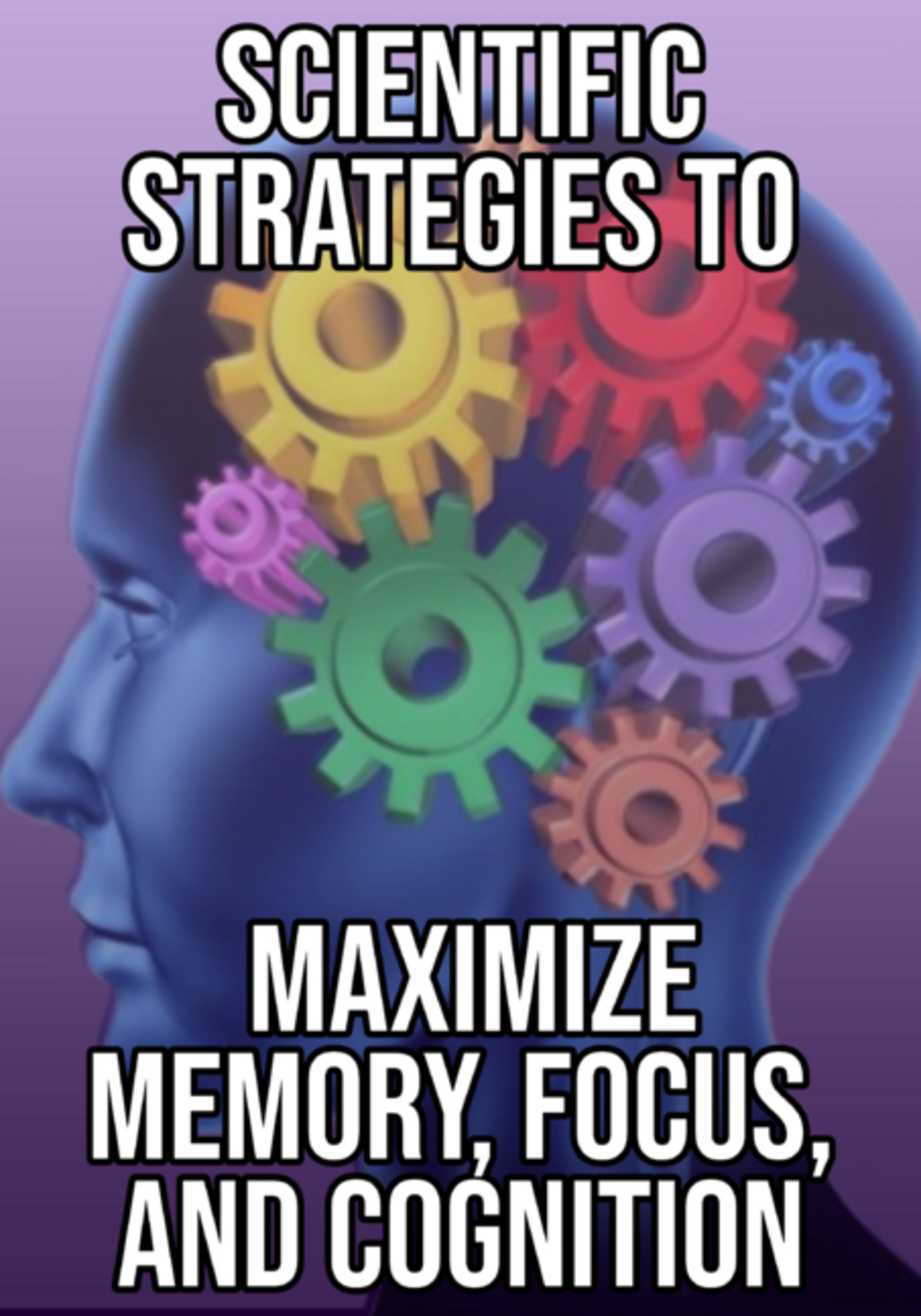 Scientific Strategies To Maximize Memory, Focus, And Cognition