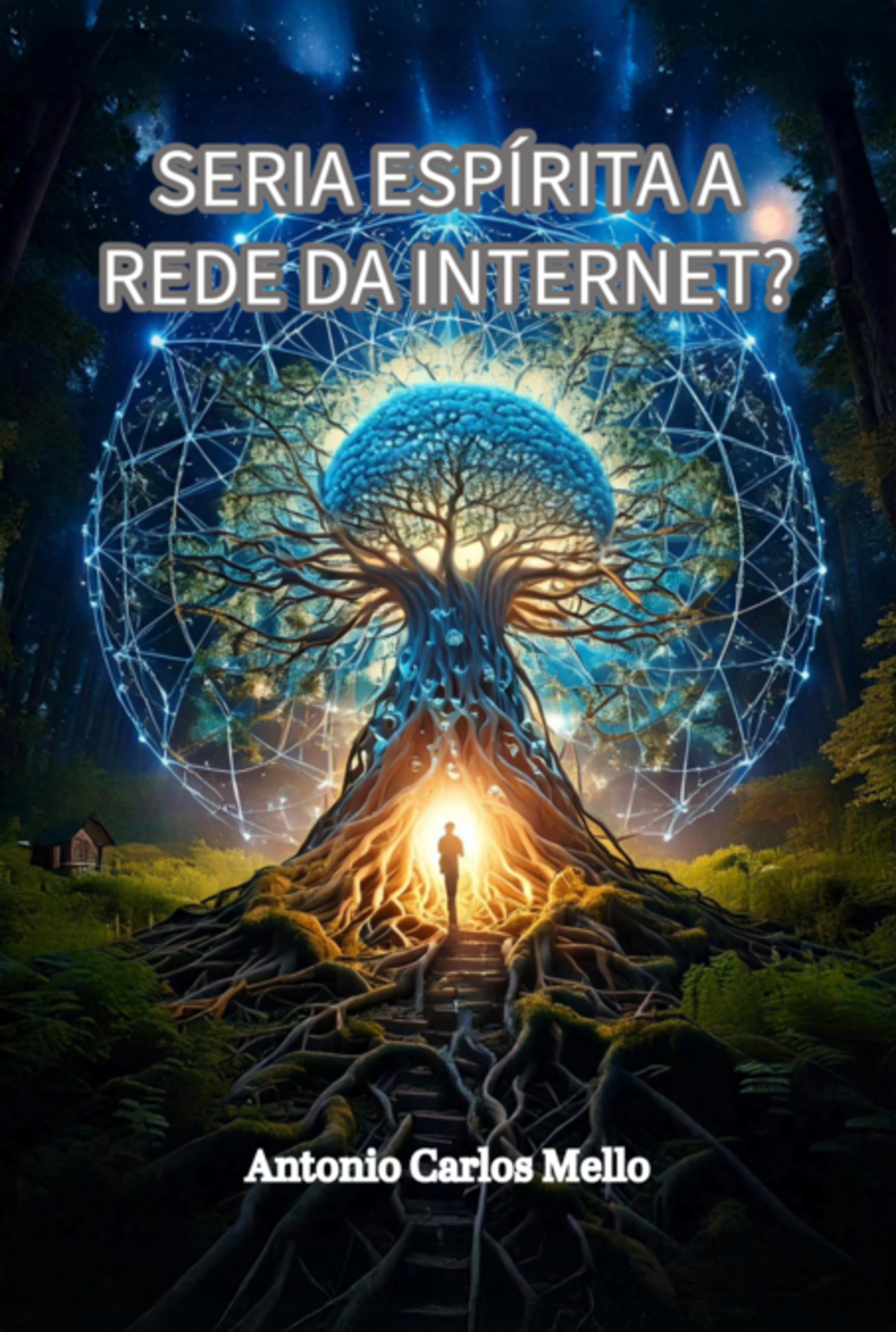 Seria Espírita A Rede Da Internet