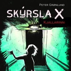 Skýrsla X - Kjallarinn