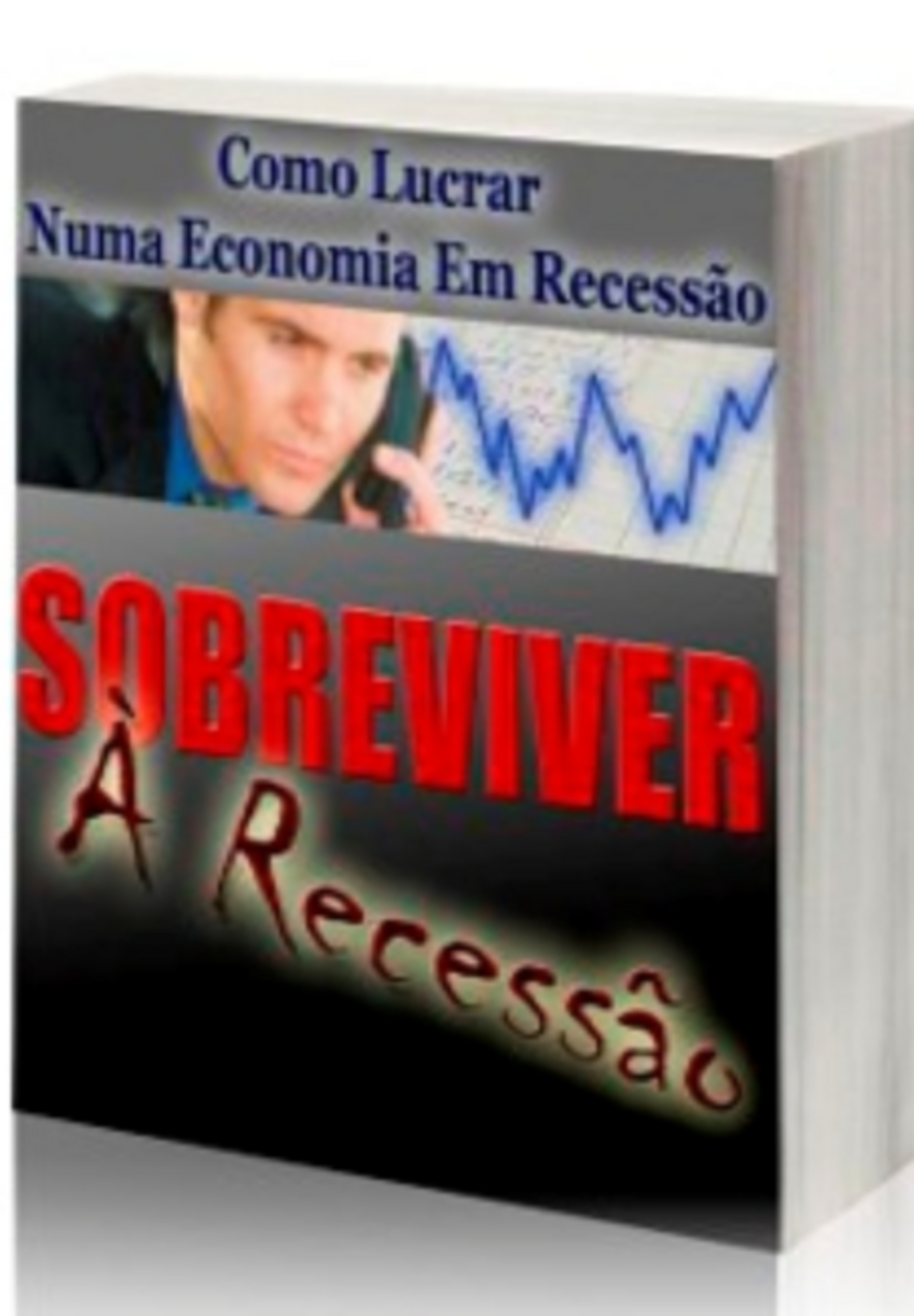 Sobreviver A Recessao