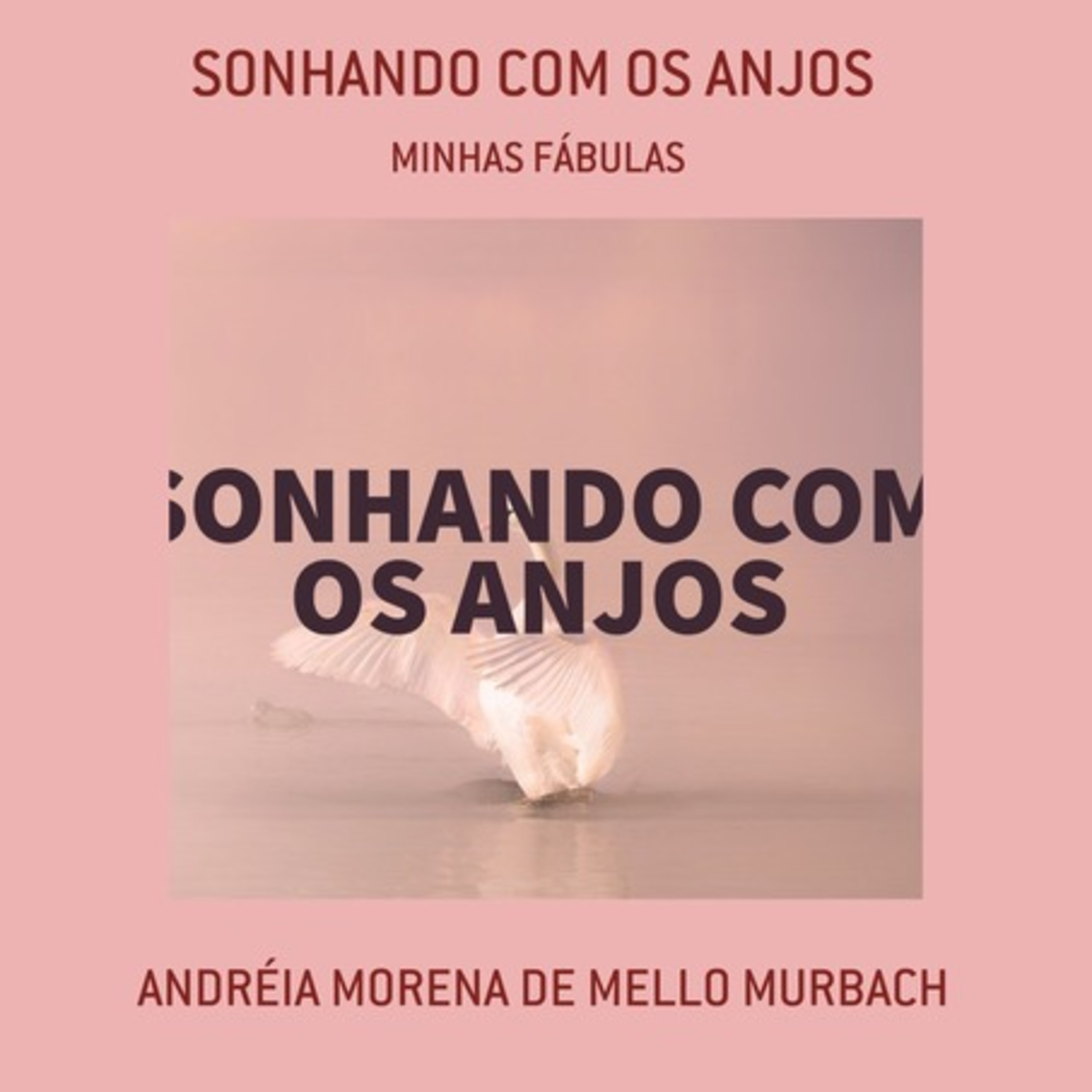 Sonhando Com Os Anjos