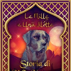 Storia di Sidi-Nouman (Le Mille e Una Notte 56)