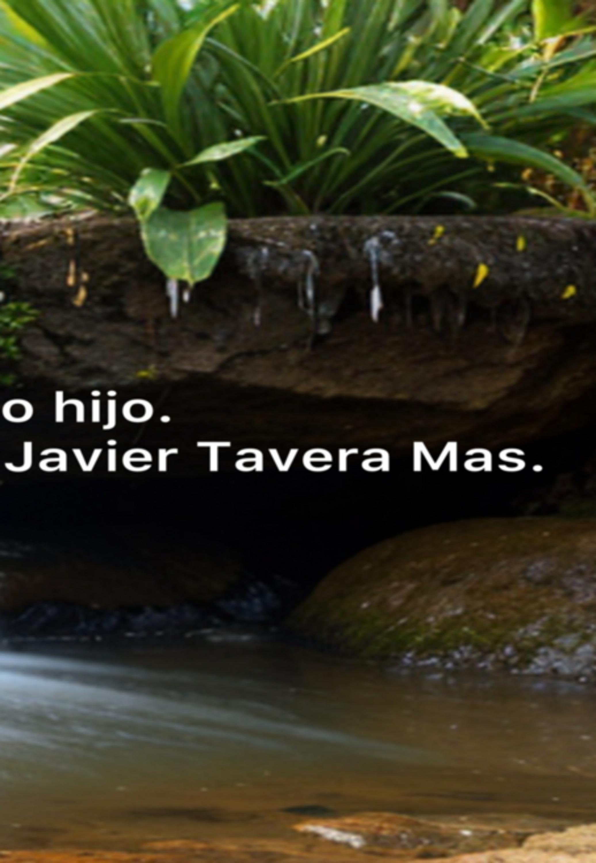 Su Único Hijo.