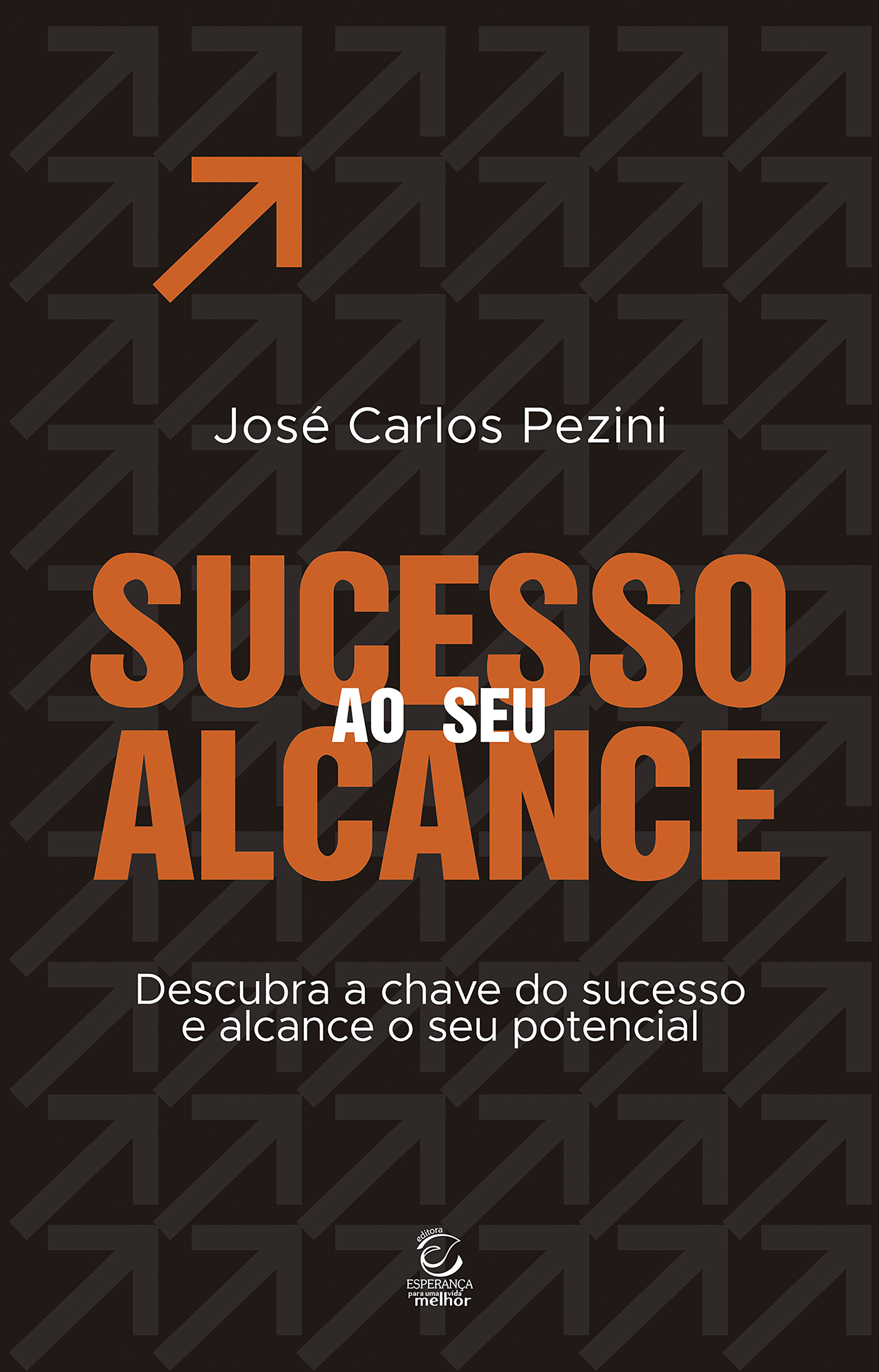 Sucesso ao seu alcance - eBook