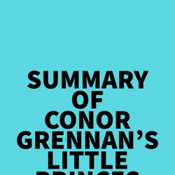 Summary of Conor Grennan's Little Princes