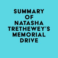 Summary of Natasha Trethewey's Memorial Drive