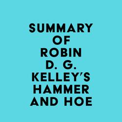 Summary of Robin D. G. Kelley's Hammer and Hoe