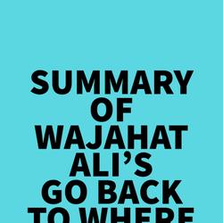 Summary of Wajahat Ali's Go Back to Where You Came From