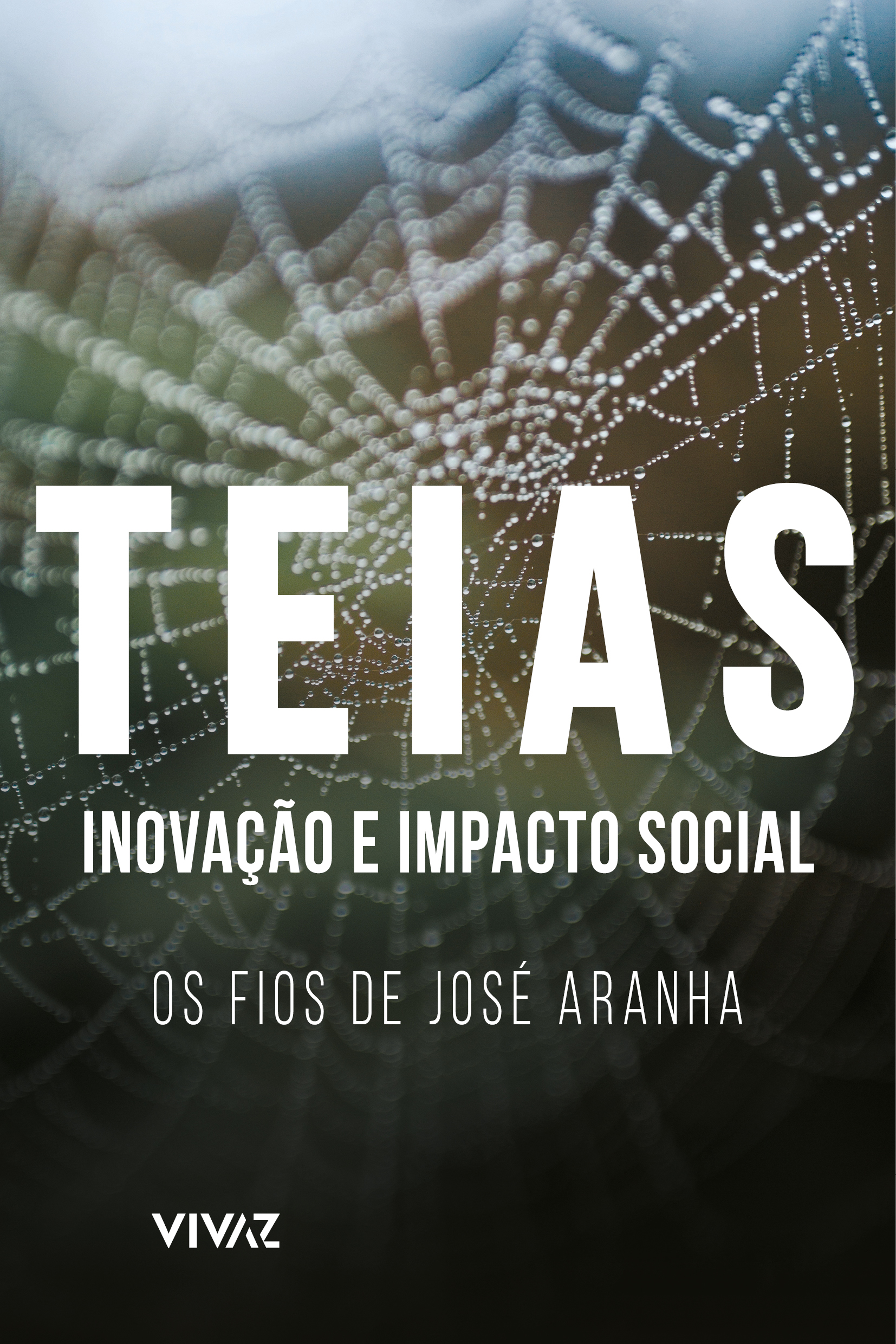 Teias - impacto e inovação social