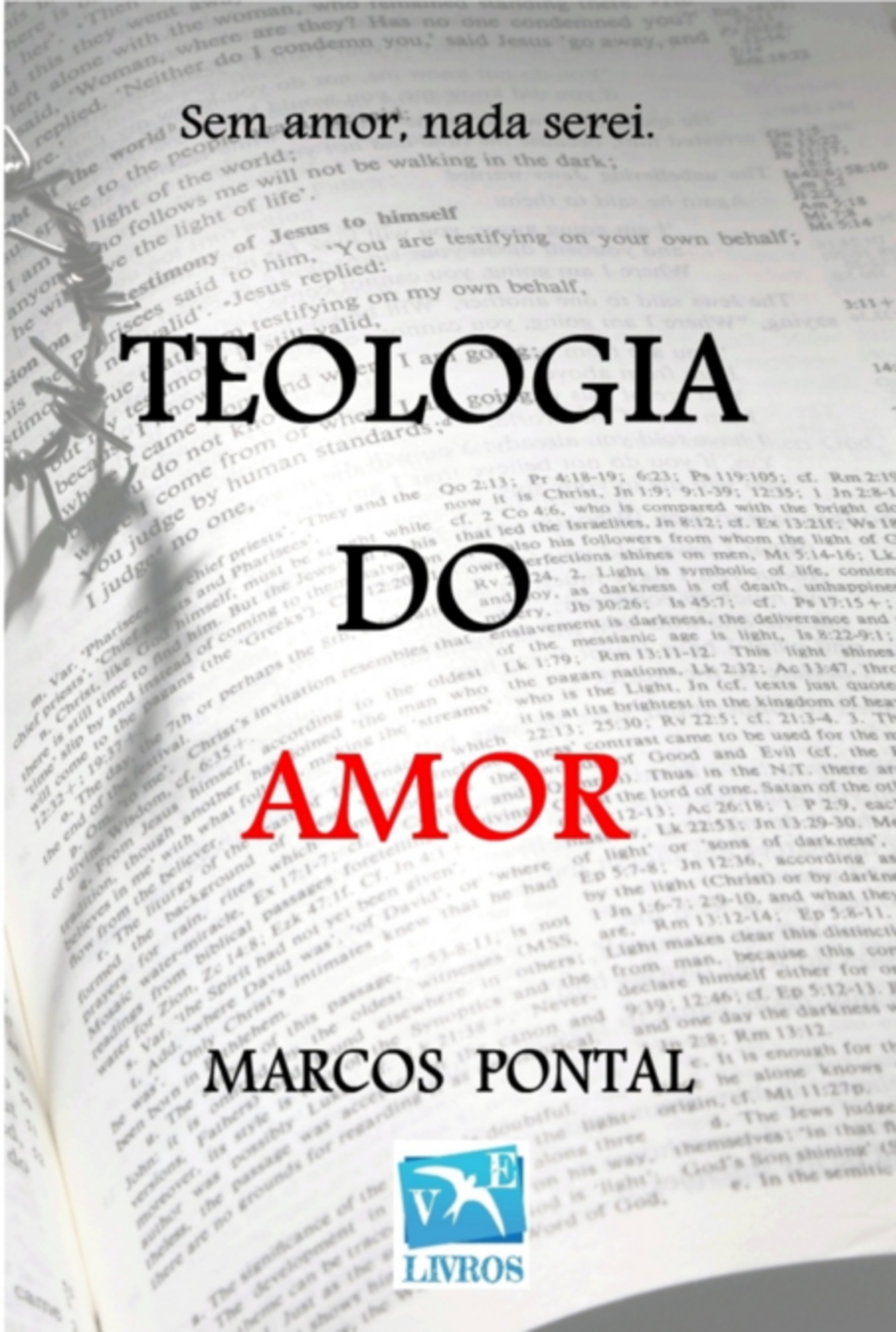 Teologia Do Amor