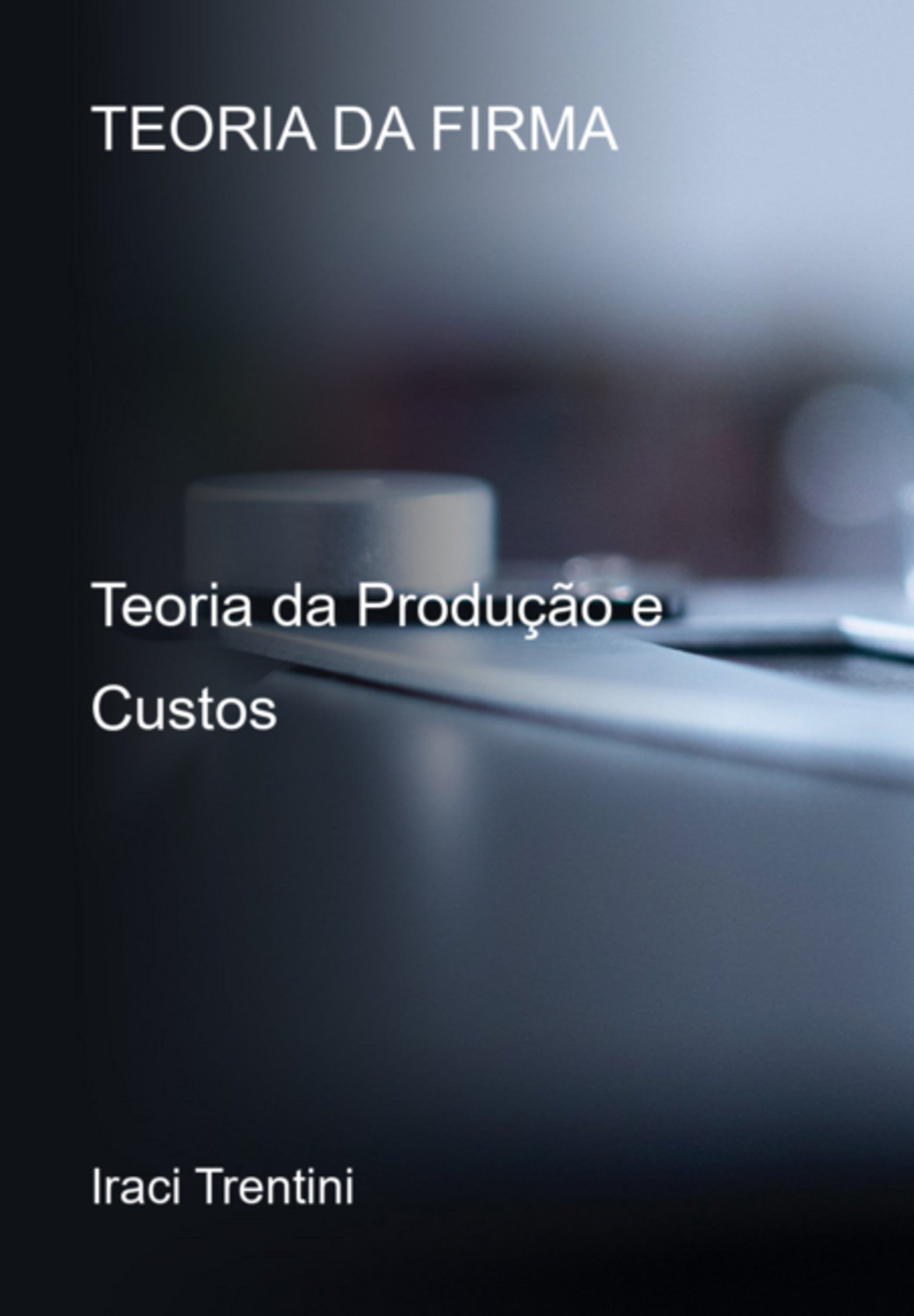 Teoria Da Firma: