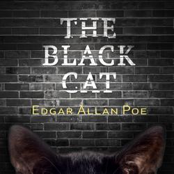 The Black Cat