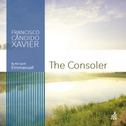 The consoler