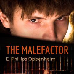 The Malefactor