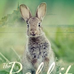 The Rabbit