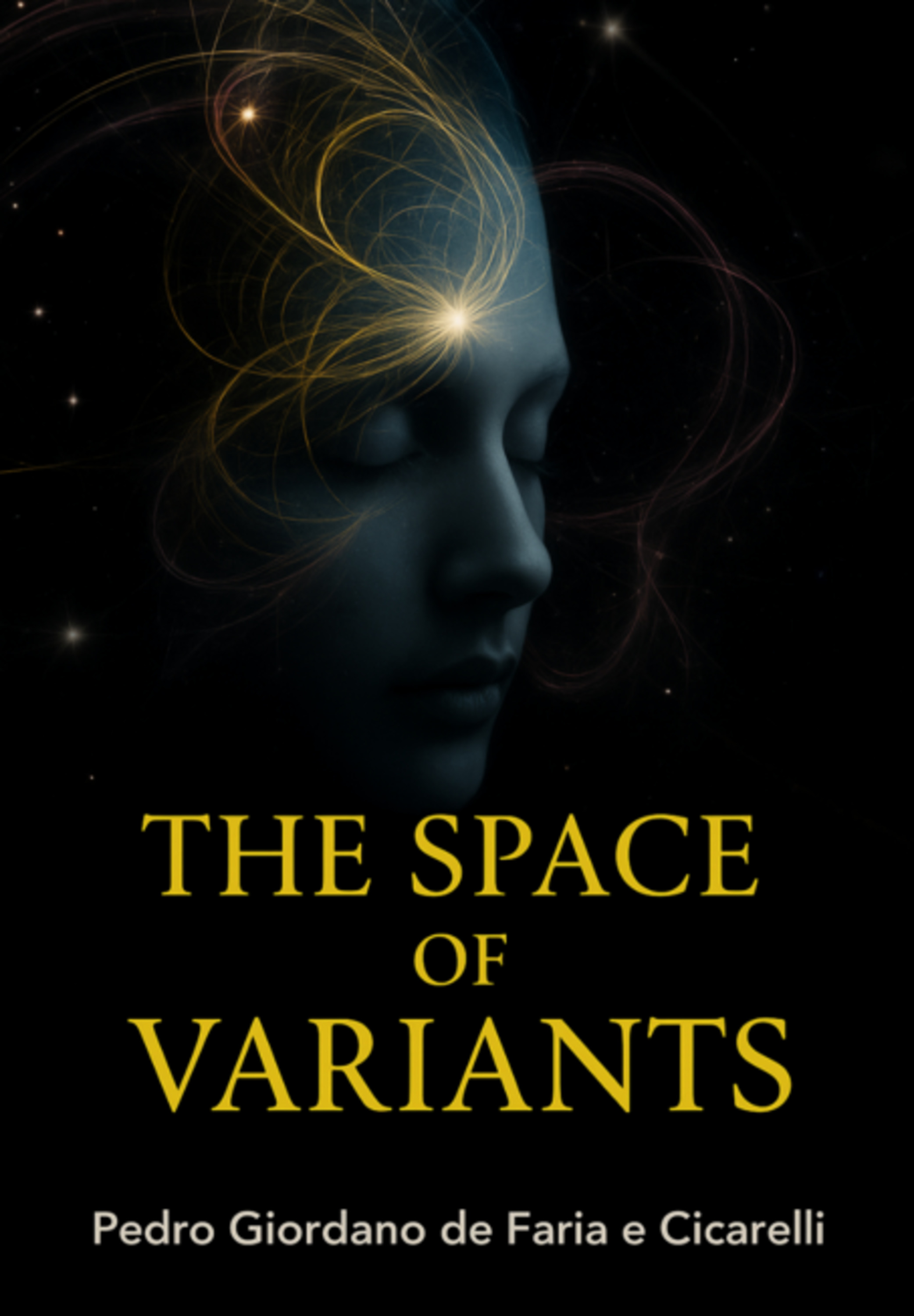 The Space Of Variants