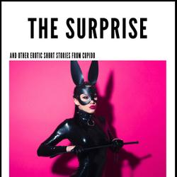 The Surprise - and other erotic short stories