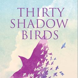 Thirty Shadow Birds