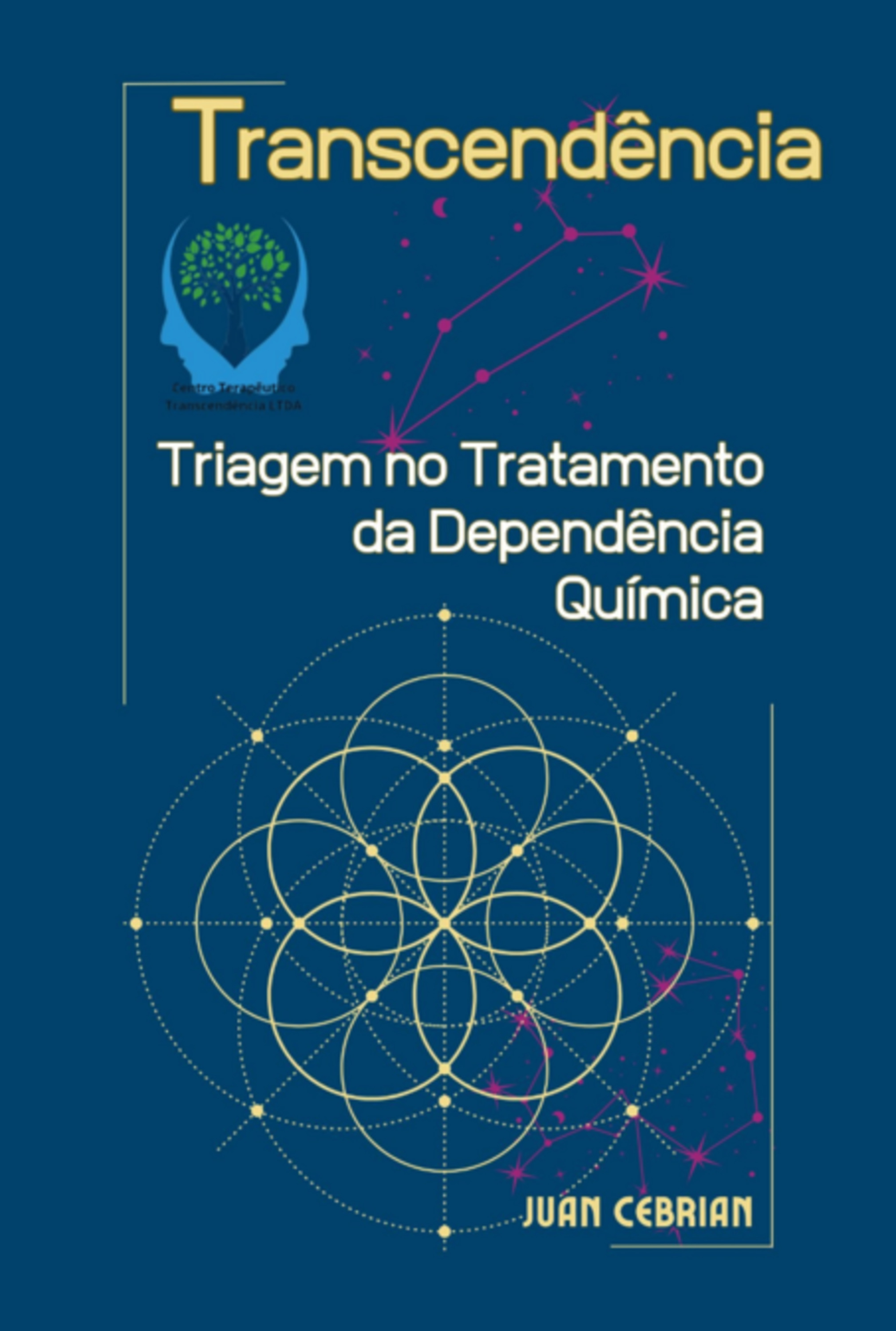 Transcendência Triagem No Tratamento Da Dependência Química