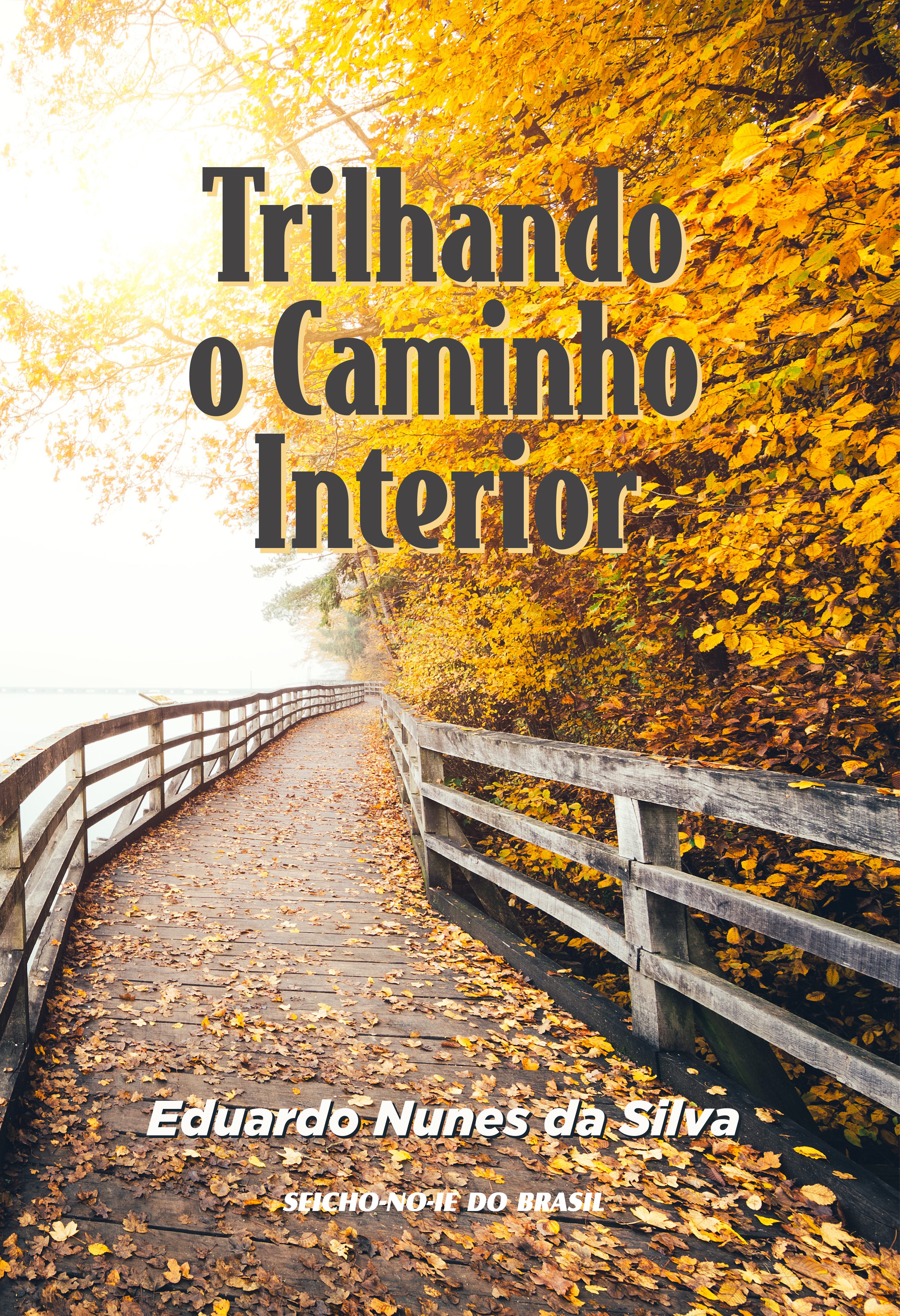 Trilhando o Caminho Interior