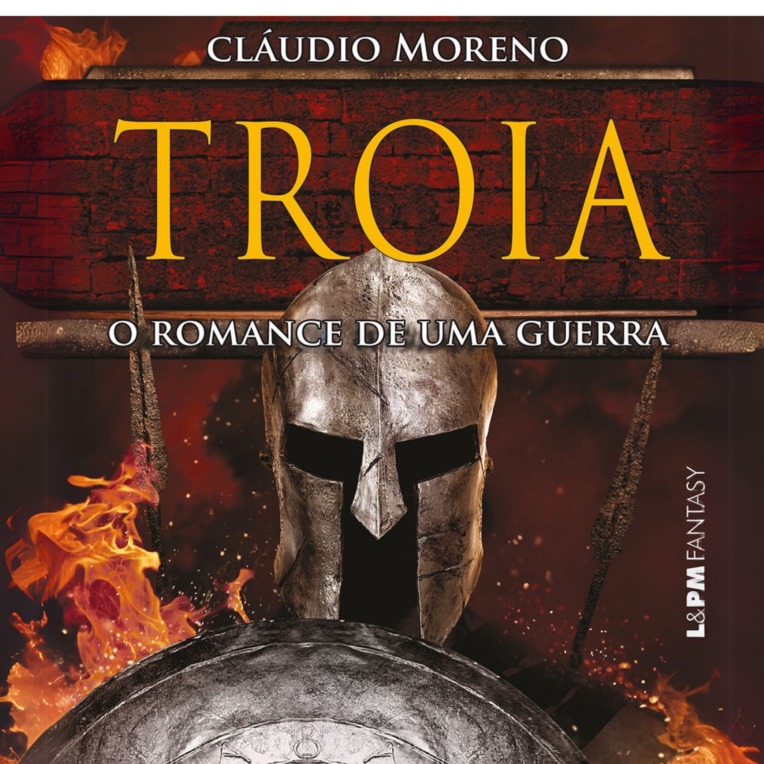 Troia: O romance de uma guerra