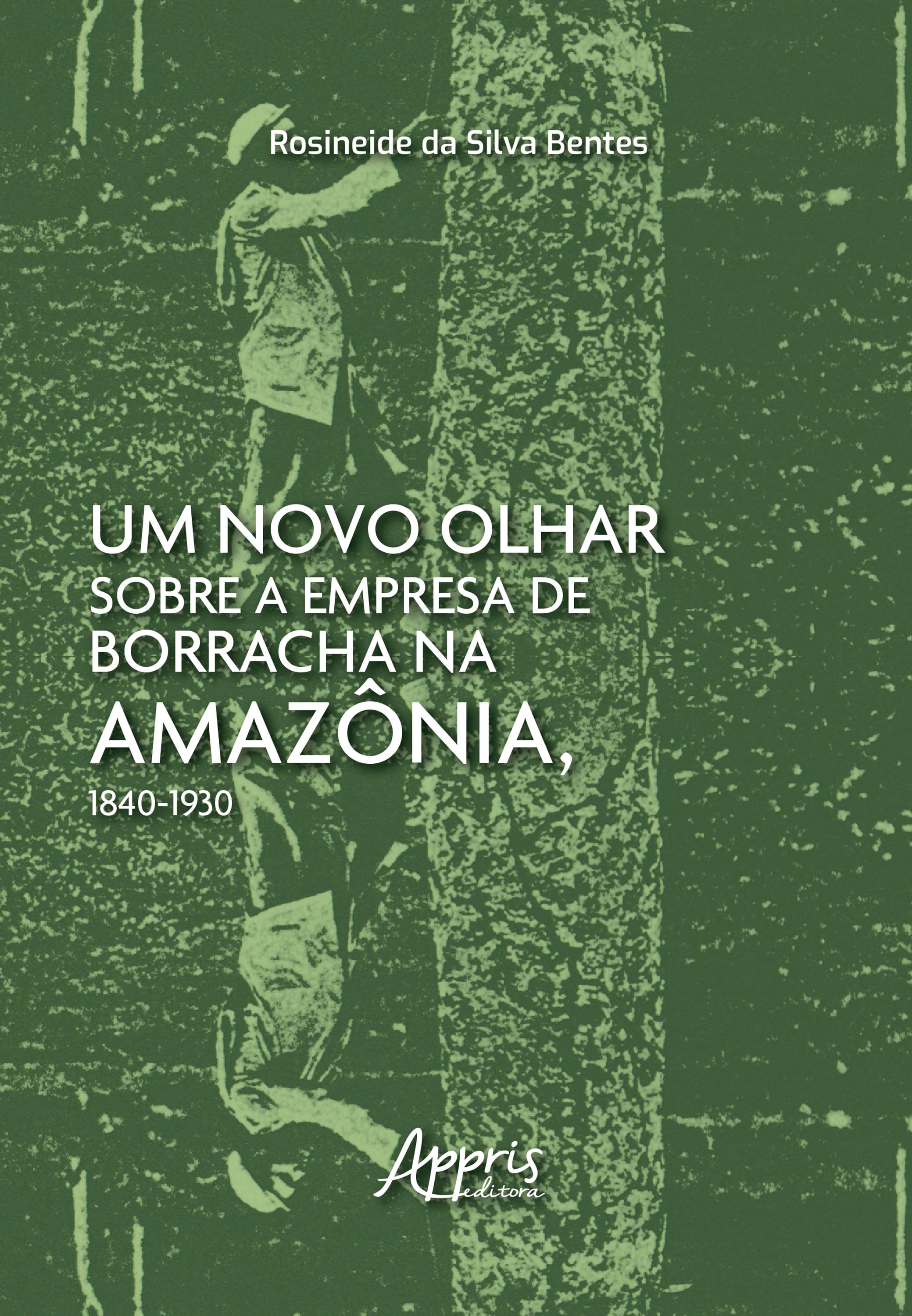 Um Novo Olhar Sobre a Empresa de Borracha na Amazônia, 1840-1930