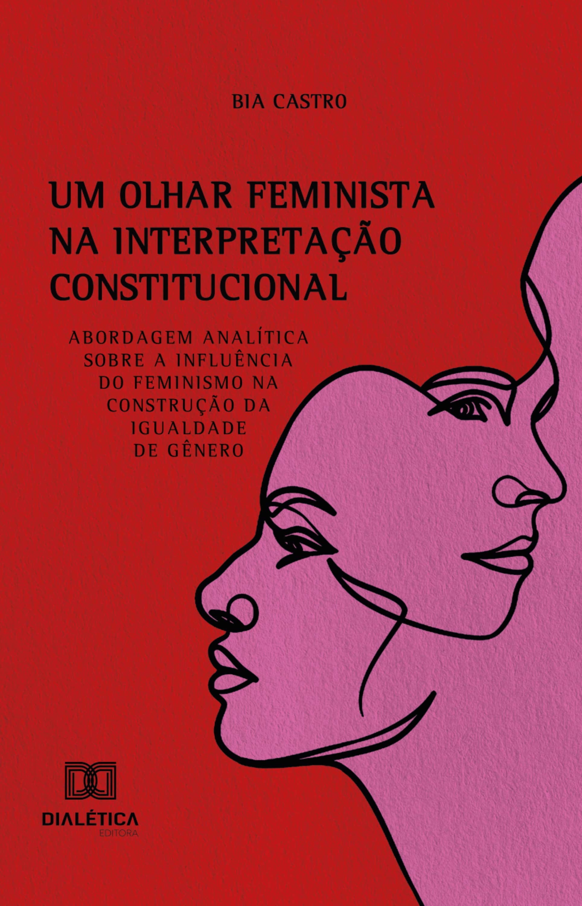 Um Olhar Feminista na Interpretação Constitucional