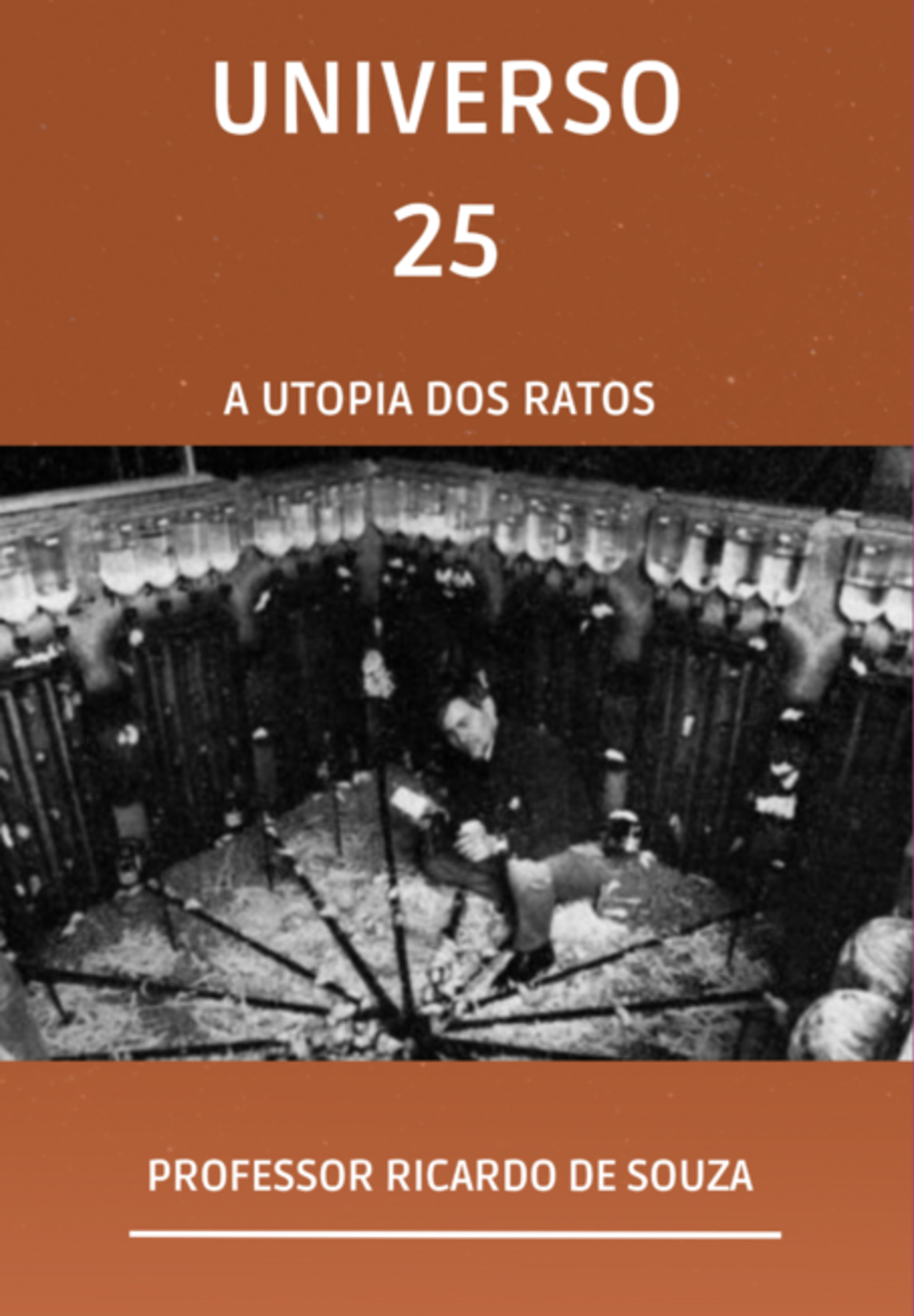 Universo 25
