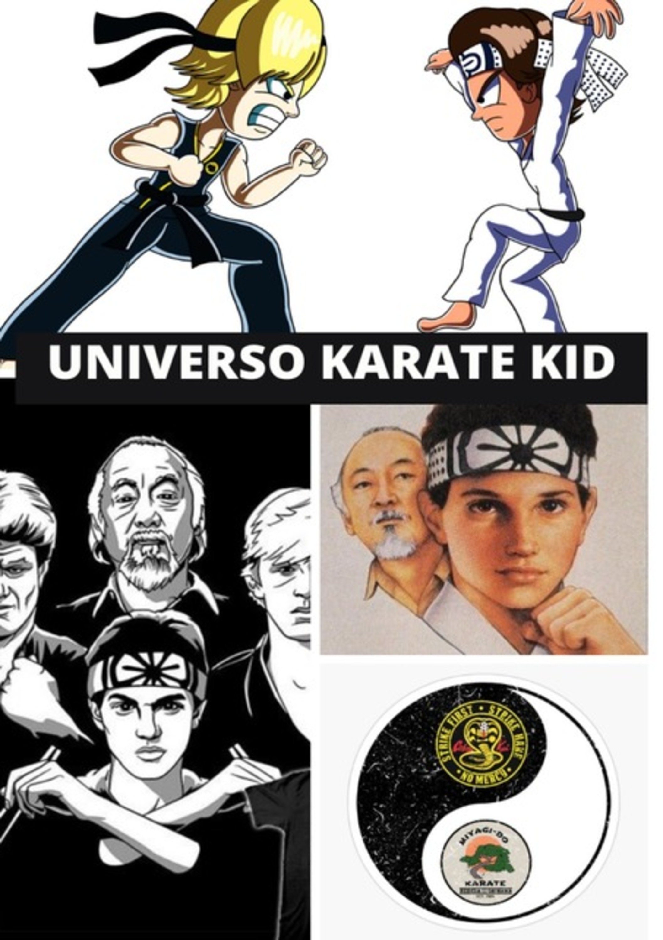 Universo Karate Kid