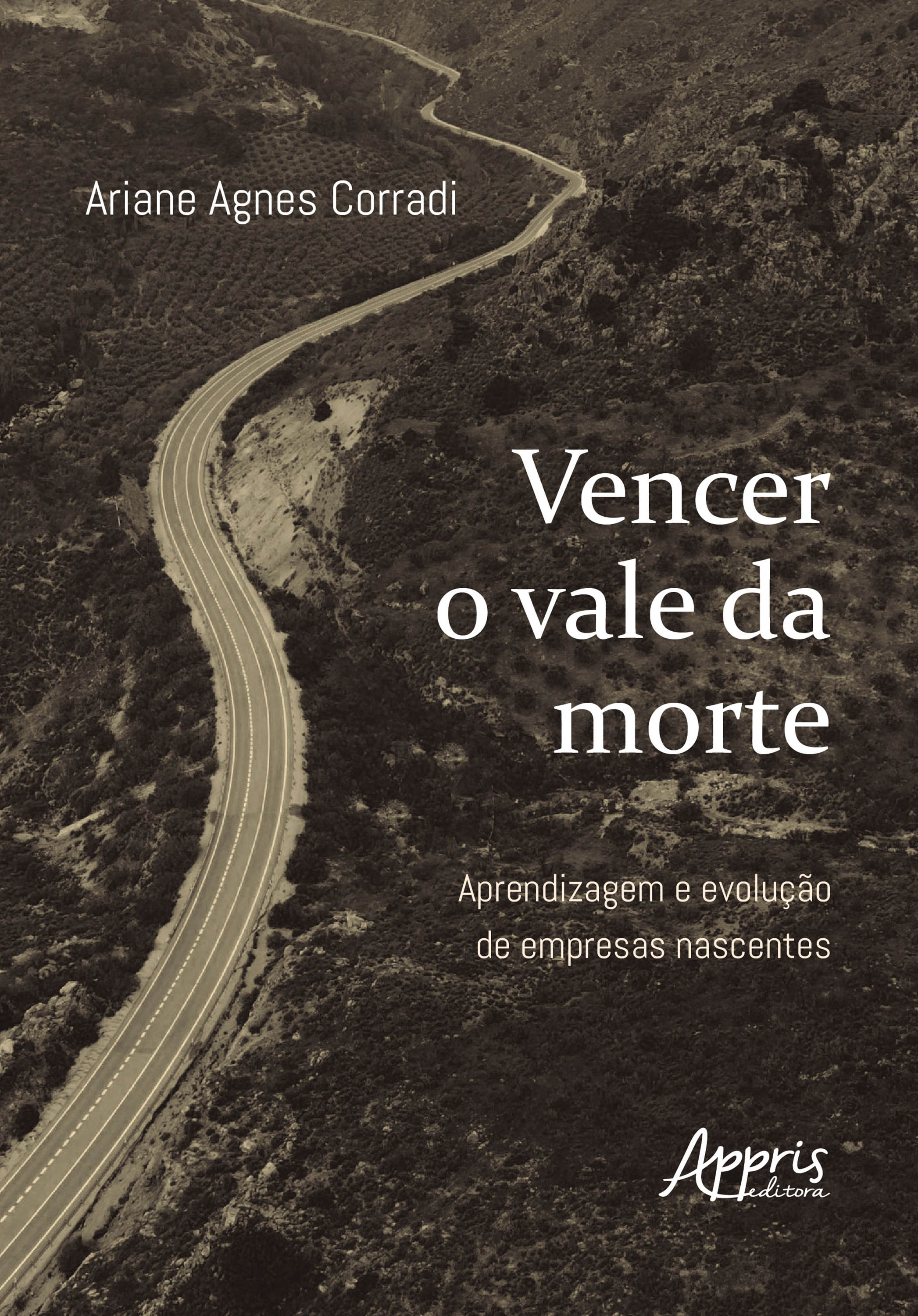 Vencer o Vale da Morte: Aprendizagem e Evolução de Empresas Nascentes 