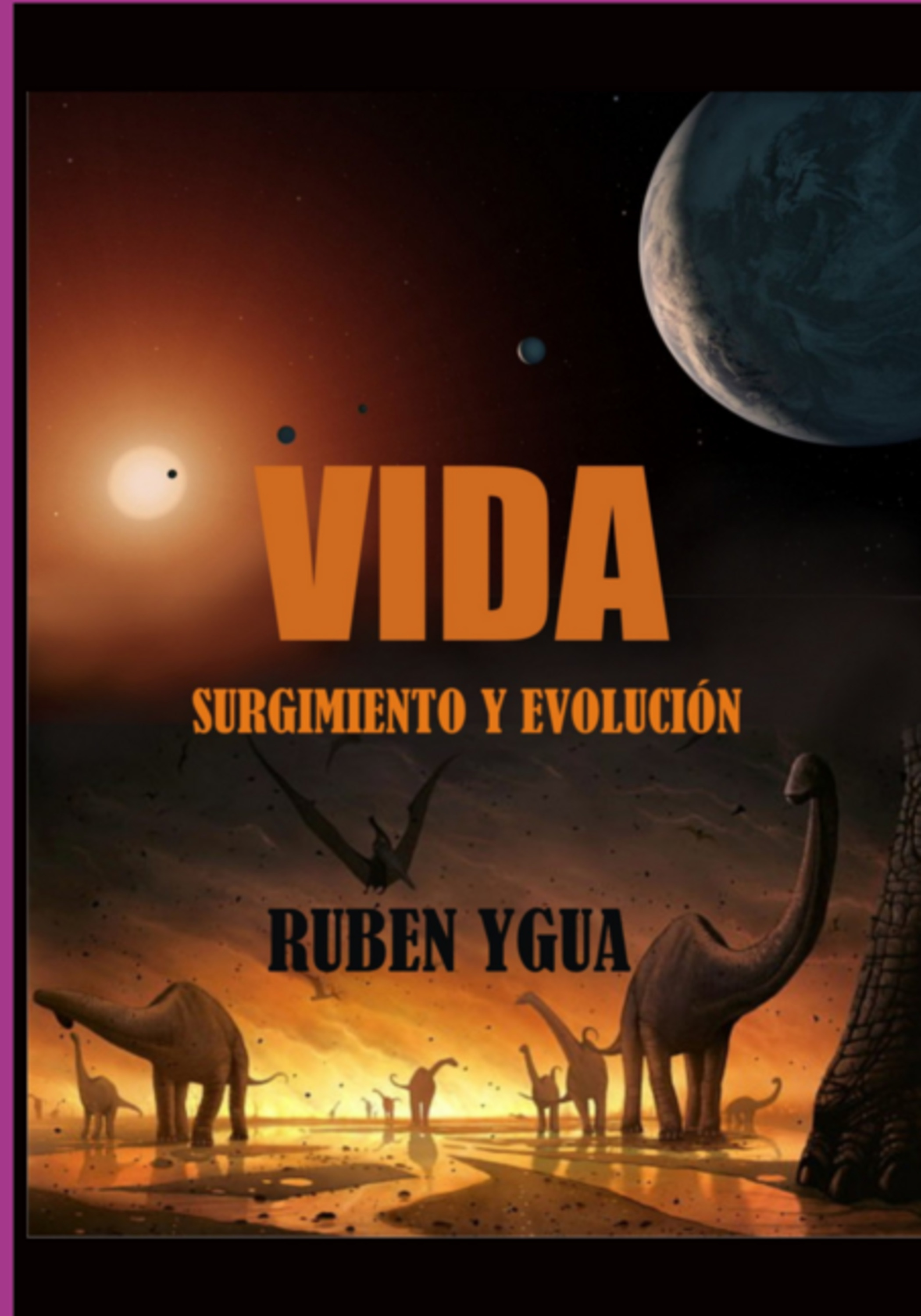 Vida