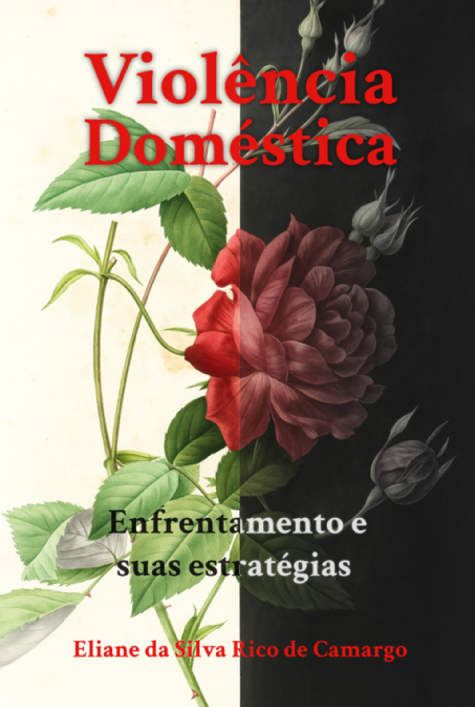 Violência Doméstica