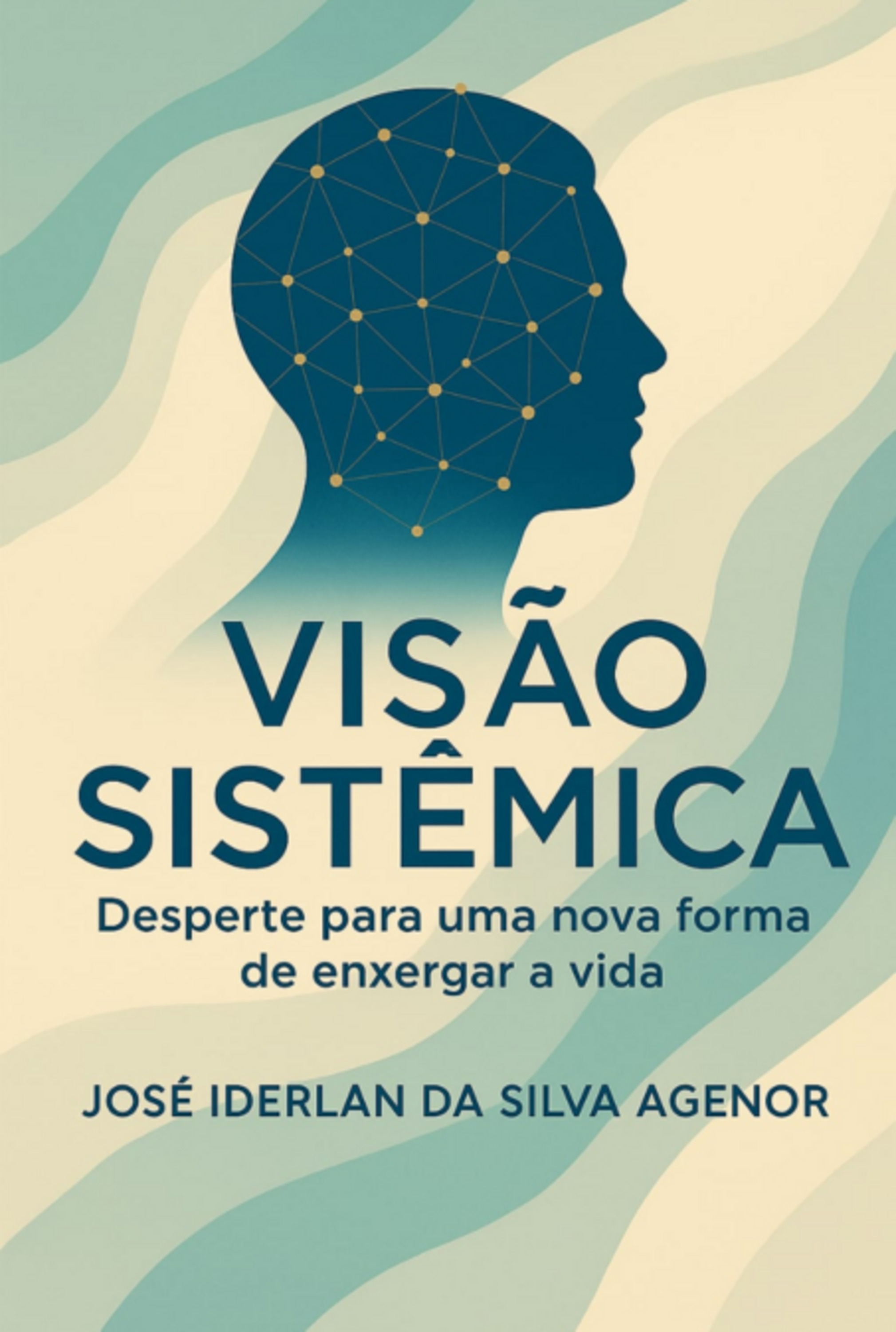 Visão Sistêmica
