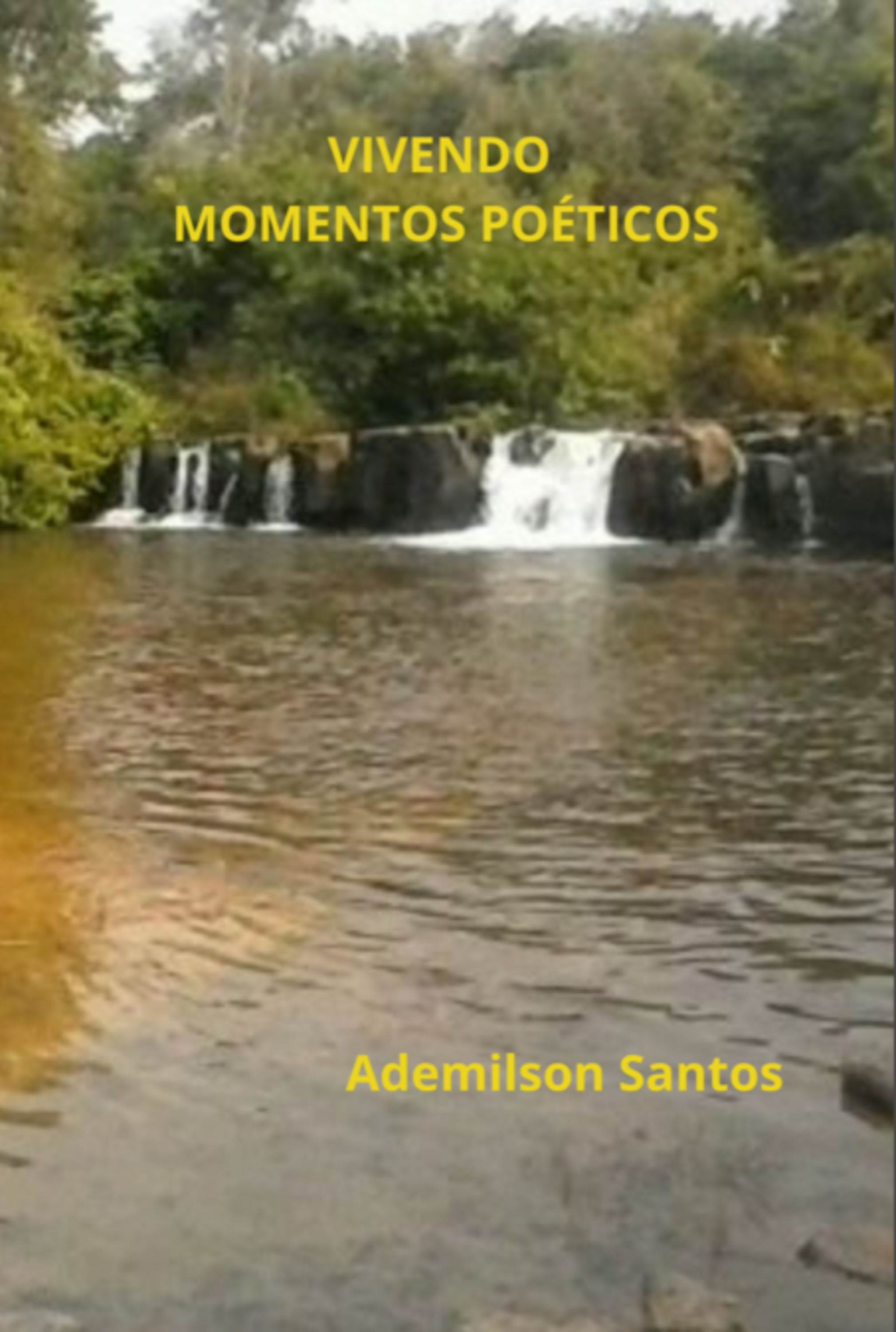 Vivendo Momentos Poéticos