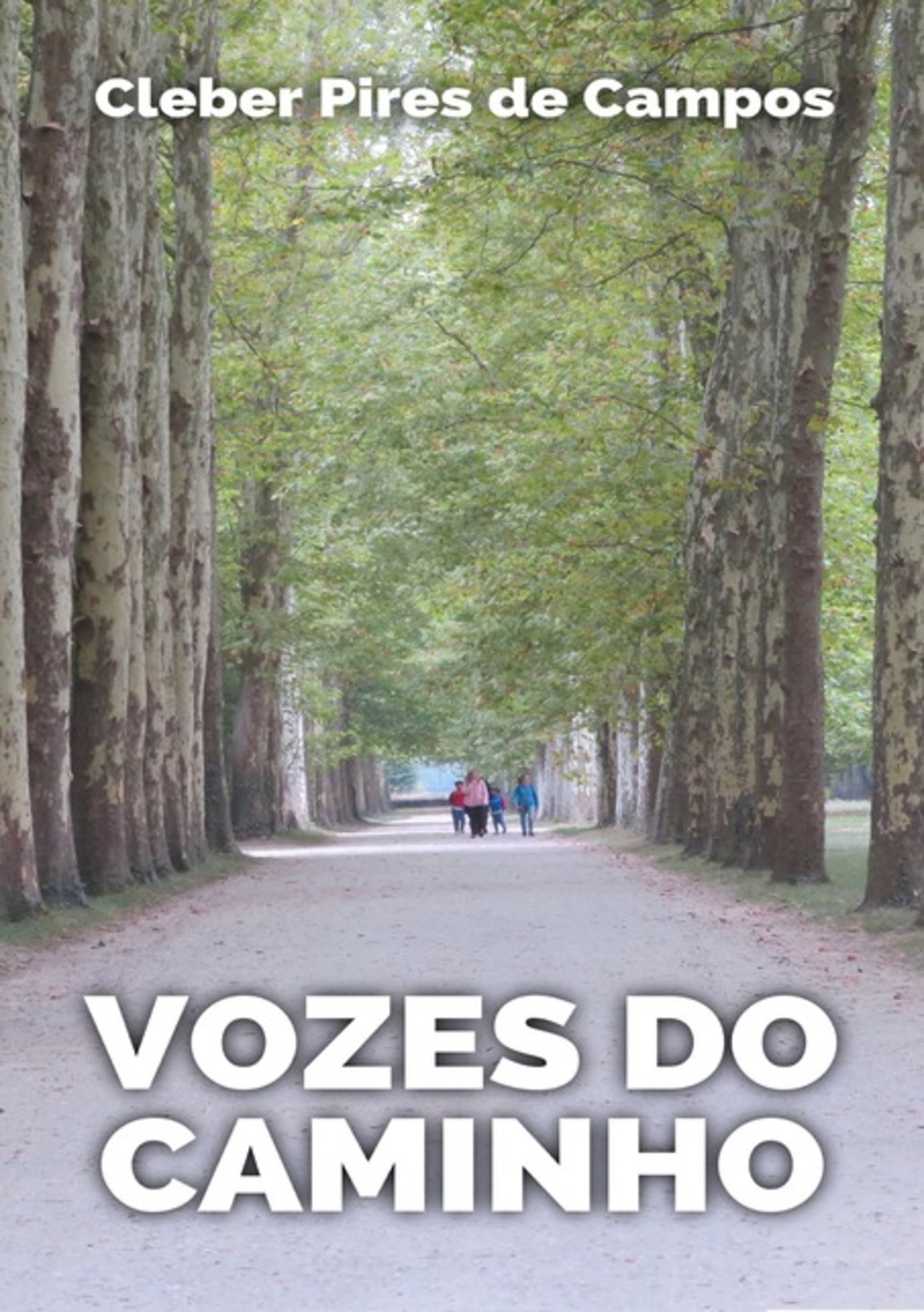 Vozes Do Caminho