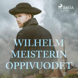 Wilhelm Meisterin oppivuodet