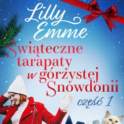 Świąteczne tarapaty w górzystej Snowdonii - część 1