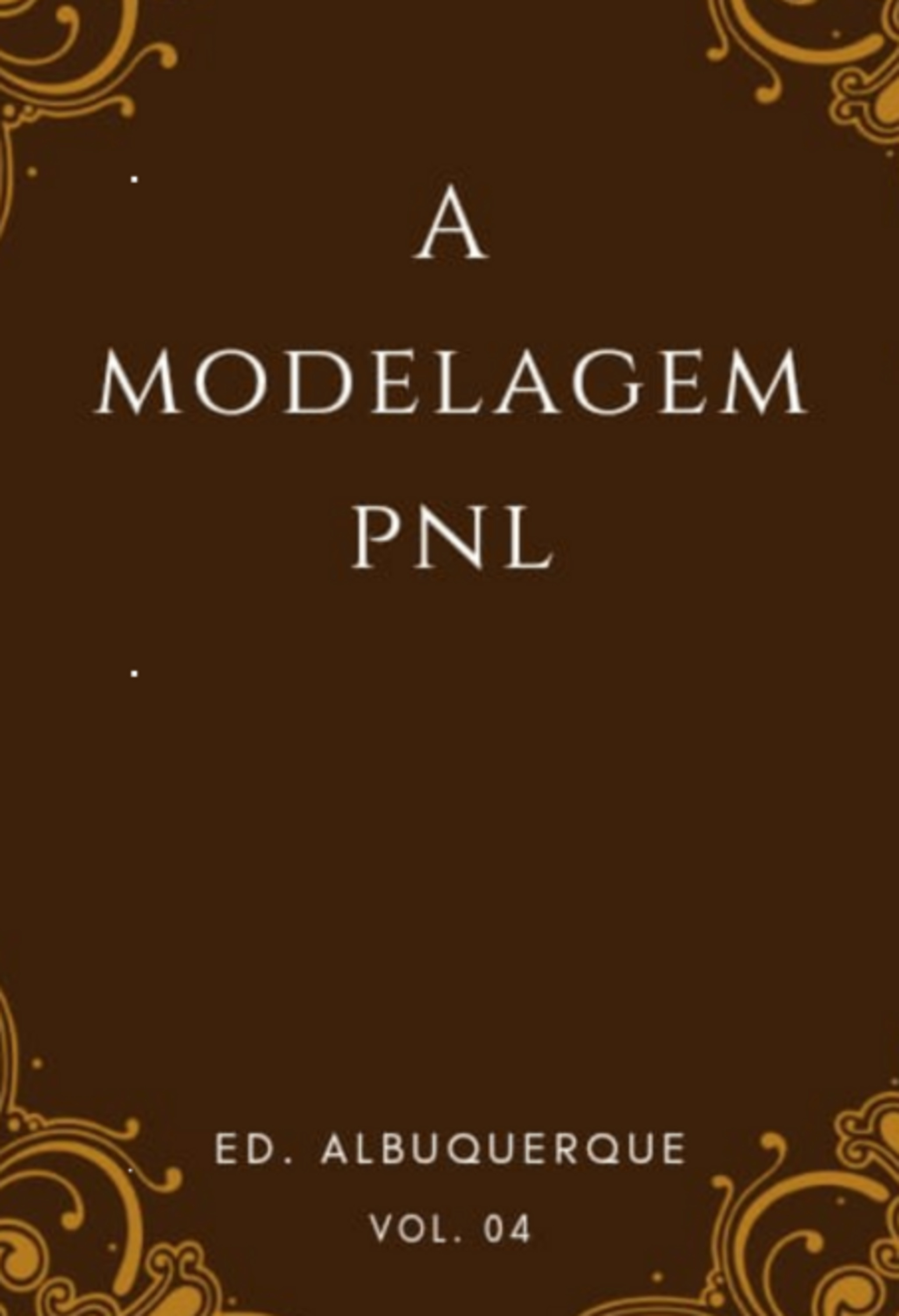 A modelagem PNL
