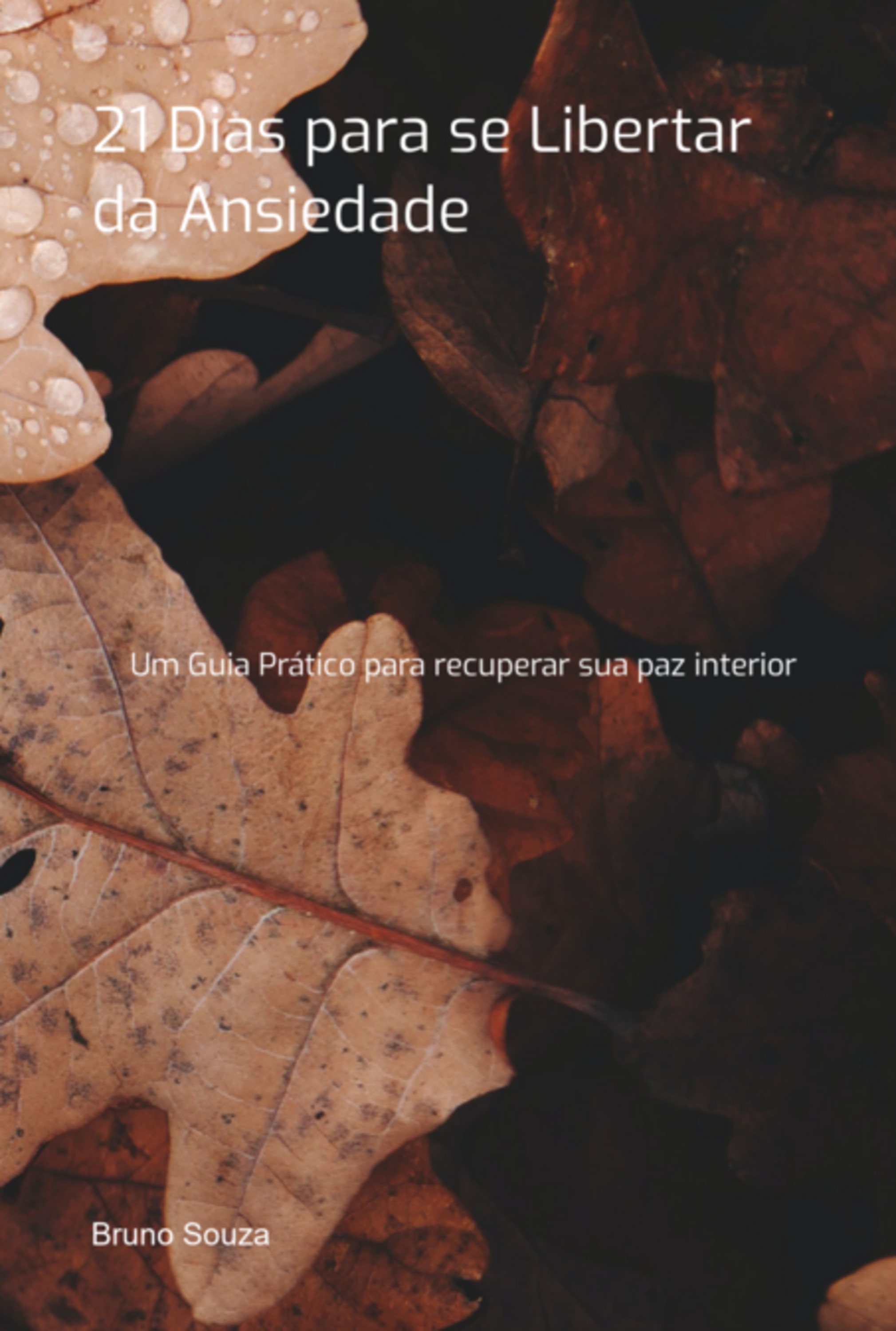 21 Dias Para Se Libertar Da Ansiedade