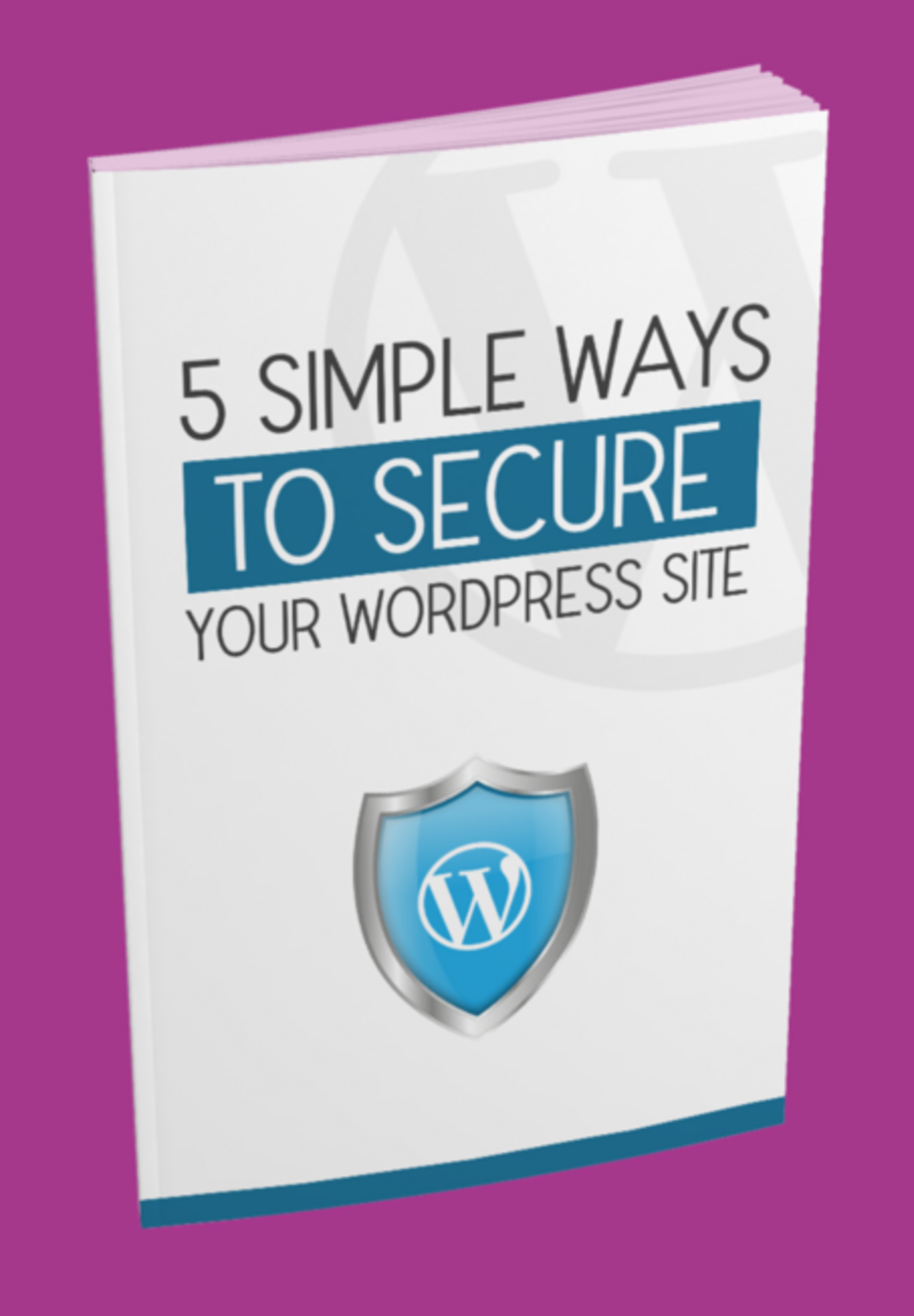 5 Maneiras Simples De Proteger Seu Site Wordpress