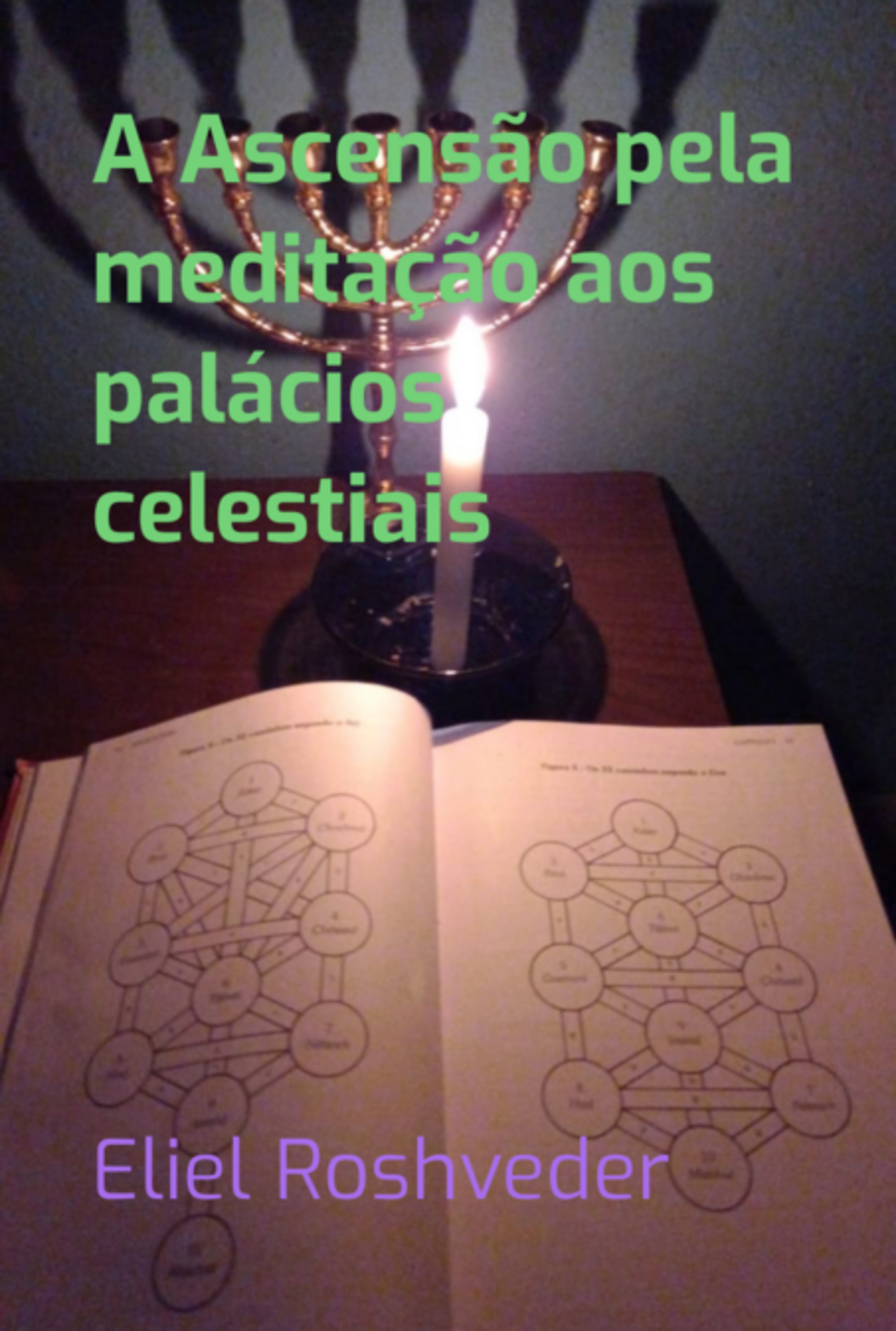 A Ascensão Pela Meditação Aos Palácios Celestiais