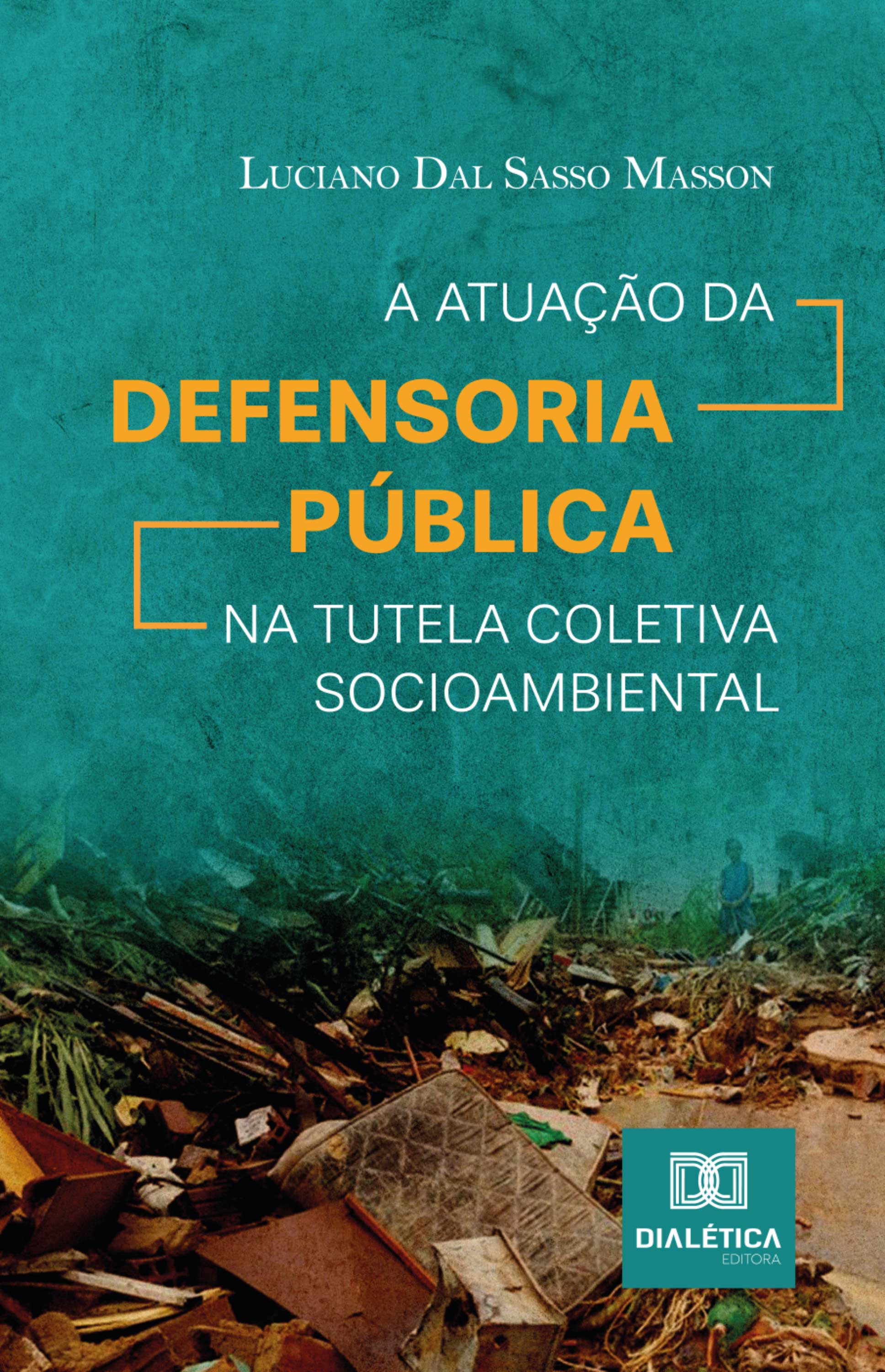 A atuação da Defensoria Pública na tutela coletiva socioambiental