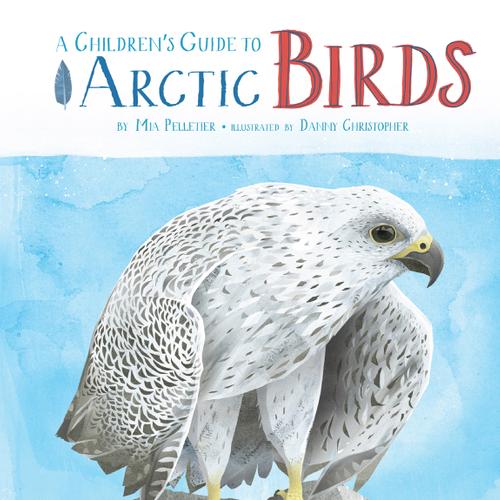 A Children's Guide to Arctic Birds