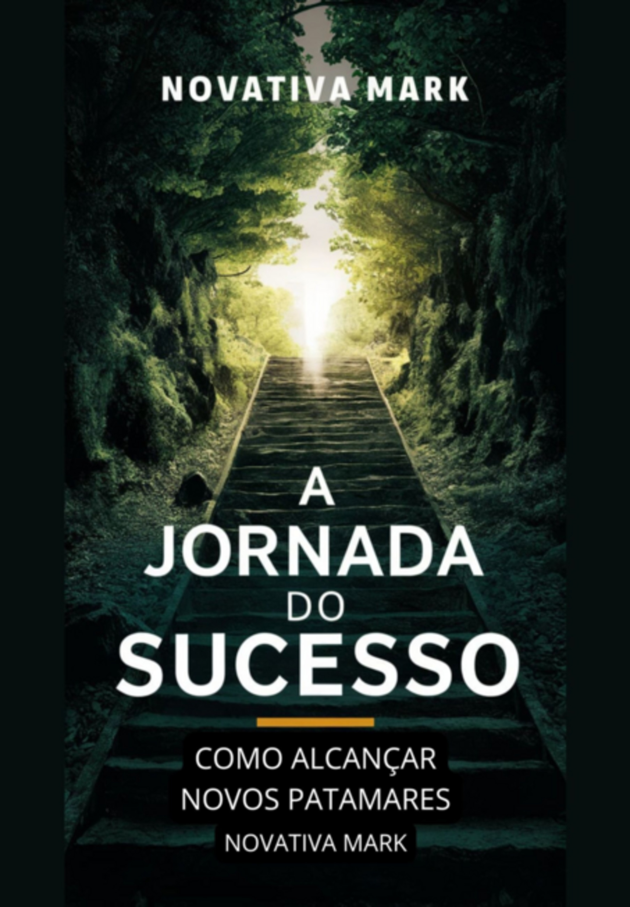 A Jornada Do Sucesso: Como Alcançar Novos Patamares