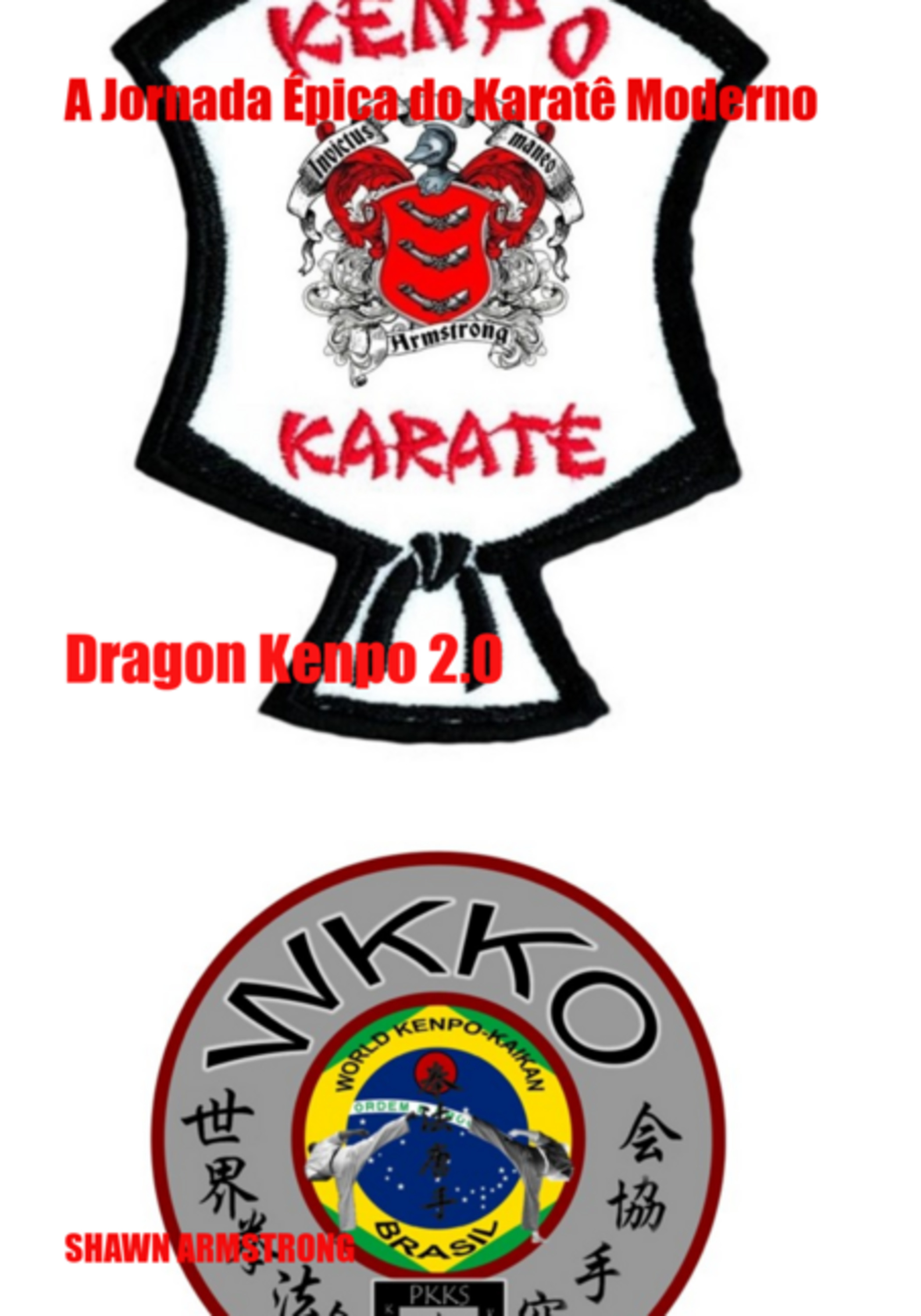 A Jornada Épica Do Karatê Moderno