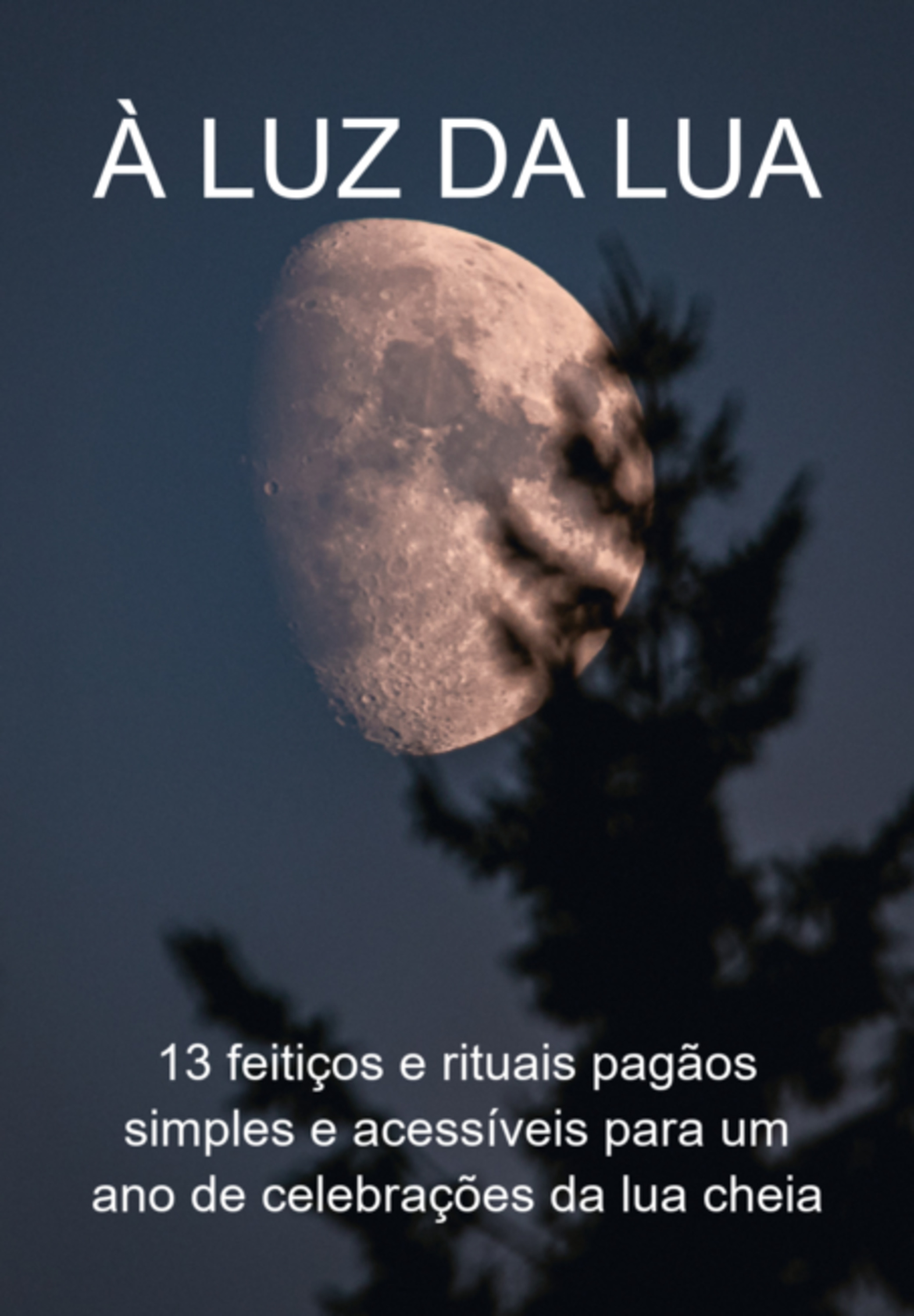 À Luz Da Lua