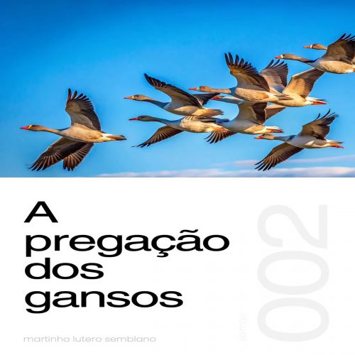 A Pregação dos Gansos - Sermão 002