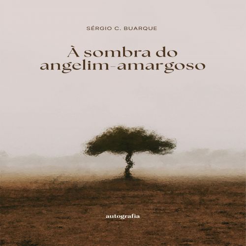 À sombra do angelim-amargoso