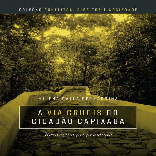 A via crucis do cidadão capixaba - herança e propriedade